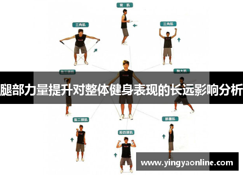 腿部力量提升对整体健身表现的长远影响分析